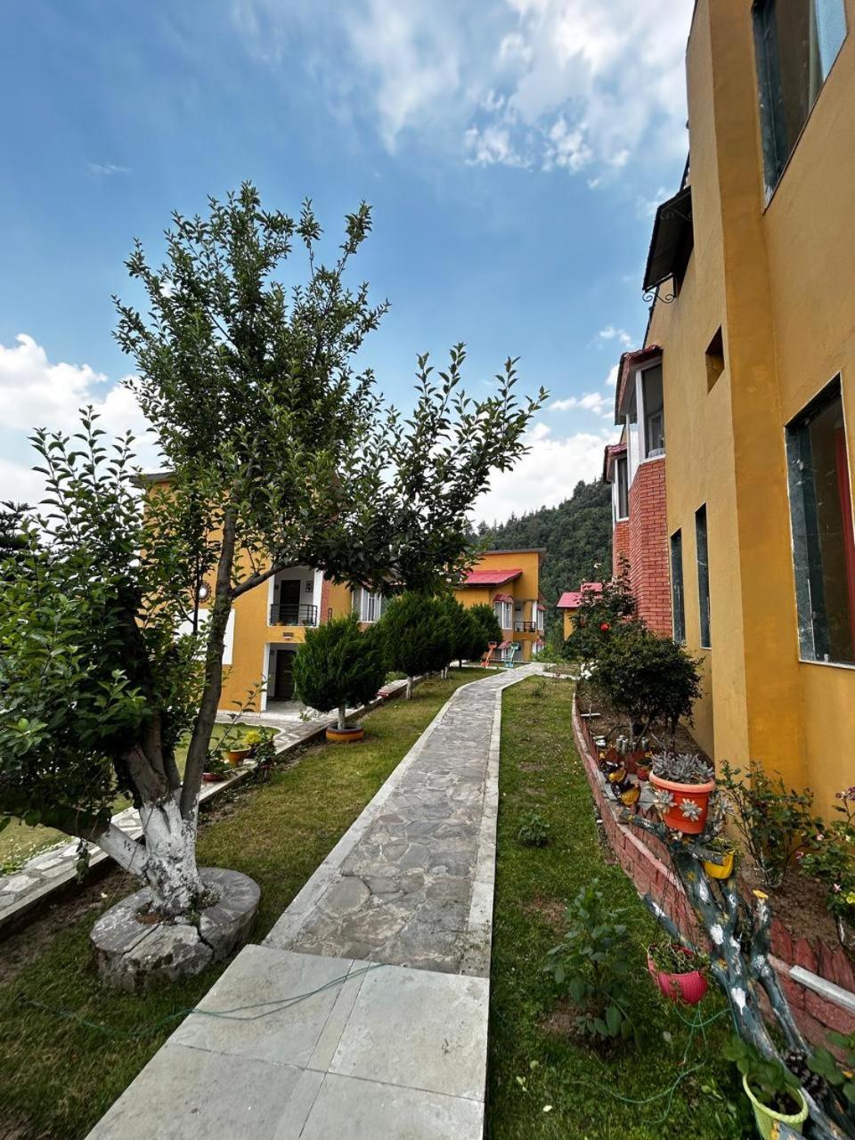 Mist N Meadows Resort Rajgarh  Exterior photo